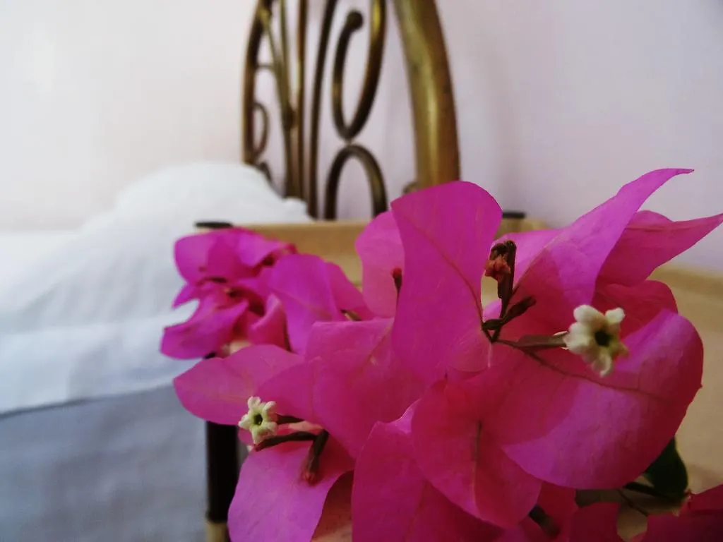 Auberge De La Cigogne Port-au-Prince Guest house