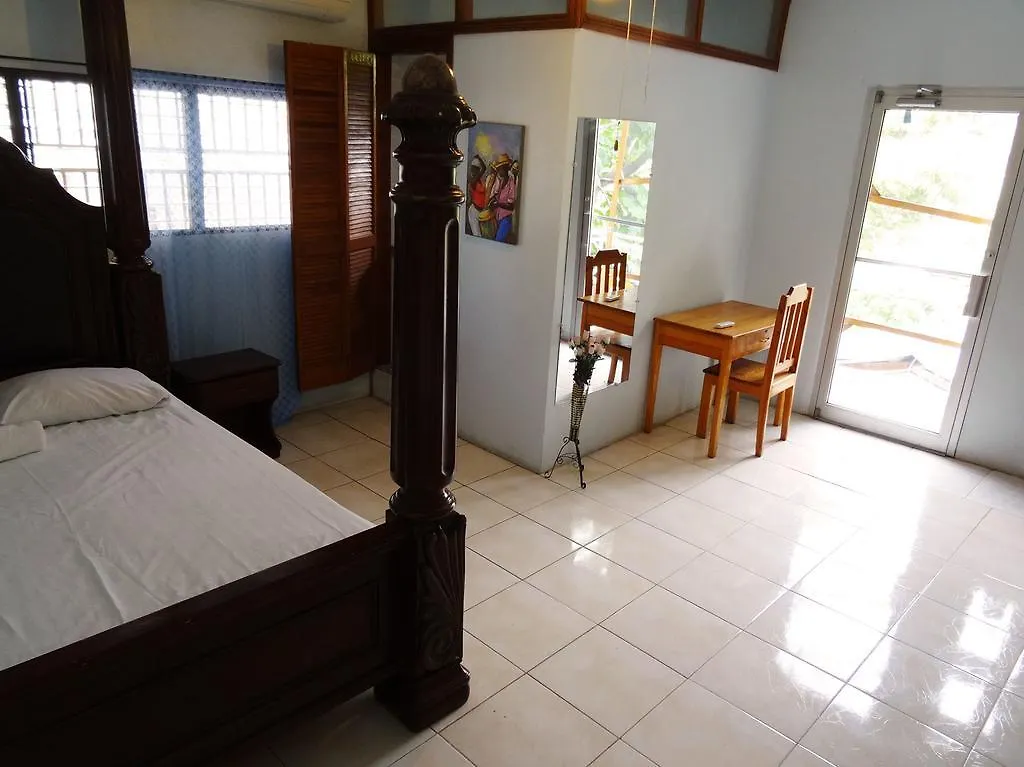 Auberge De La Cigogne Port-au-Prince Guest house